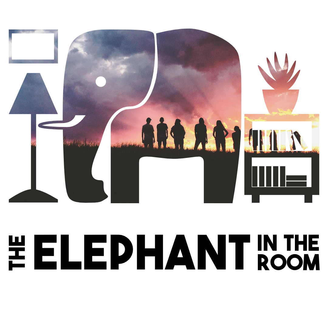 Elephant in the Room Webinars 2023 Frontier Youth Trust